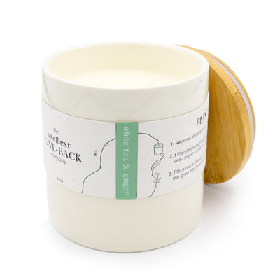 Feya Co Botanical Candle White Tea & Ginger 25oz bamboo lid